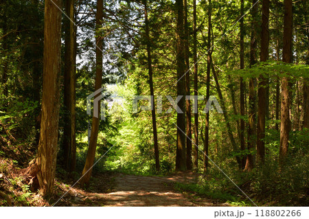 日本100名城・岩村城 日本100名城・岩村城 118802266