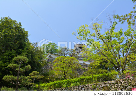 日本100名城・高知城 118802630