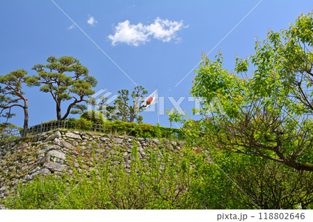 日本100名城・高知城 118802646