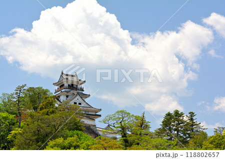 日本100名城・高知城 118802657