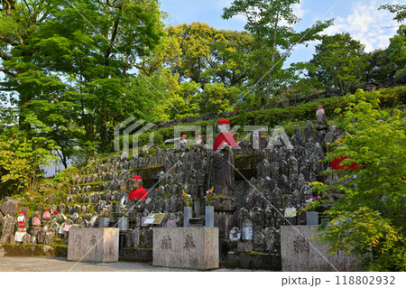 高知・竹林寺 118802932