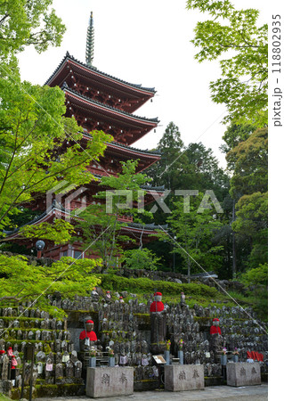 高知・竹林寺 118802935