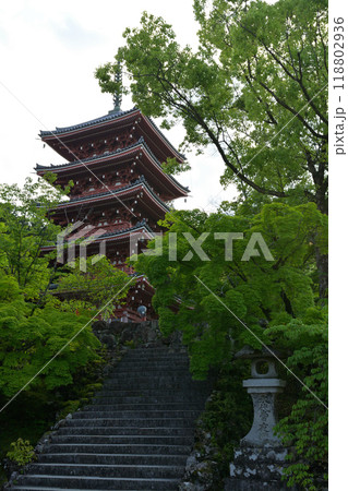 高知・竹林寺 118802936