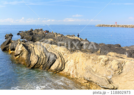 神奈川・城ヶ島 神奈川・城ヶ島 118802973