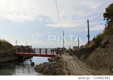 神奈川・城ヶ島 神奈川・城ヶ島 118802981