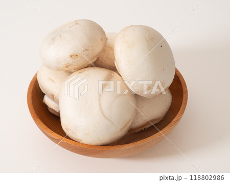 大きなホワイトマッシュルーム 大きなホワイトマッシュルーム 118802986