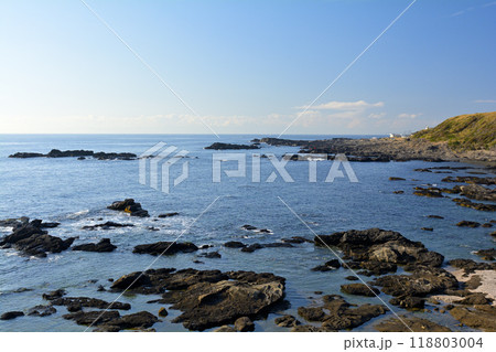 神奈川・城ヶ島 118803004