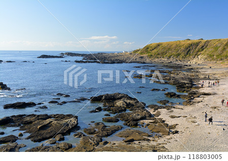 神奈川・城ヶ島 118803005