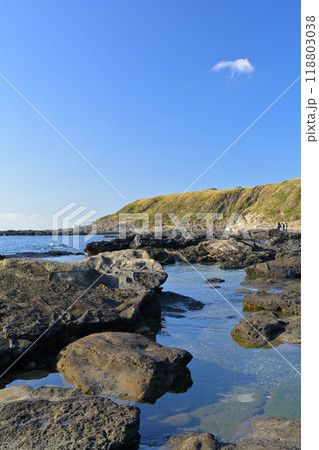 神奈川・城ヶ島 神奈川・城ヶ島 118803038