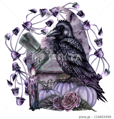 Black raven with a candle, green bottle roses on a pumpkin with purple toadstools and dry branches. Watercolor illustration template for esoteric, witchcraft Halloween for pillow, invitation, postcard 118803099