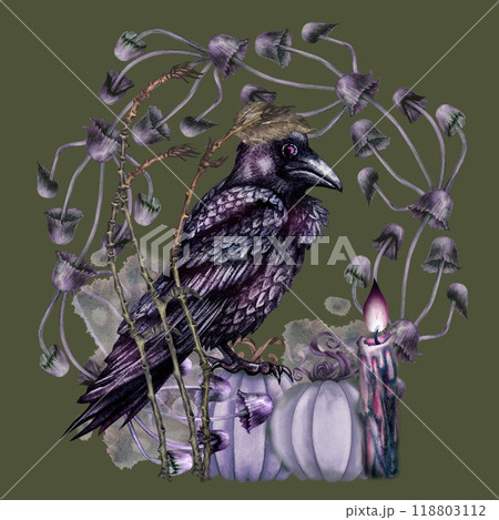 Black raven with a candle sitting on a pumpkin in a frame of purple toadstools, dry branches. Watercolor template for esoteric, witchcraft, Halloween for invitation, advertising, cards, postcards 118803112
