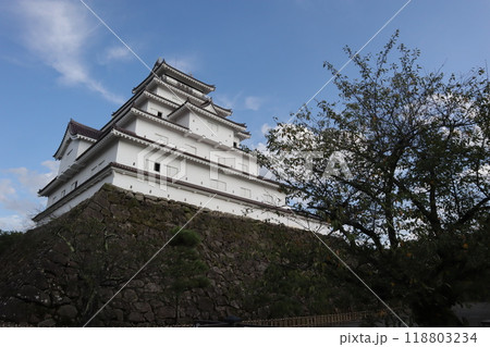 会津若松城を下から 118803234