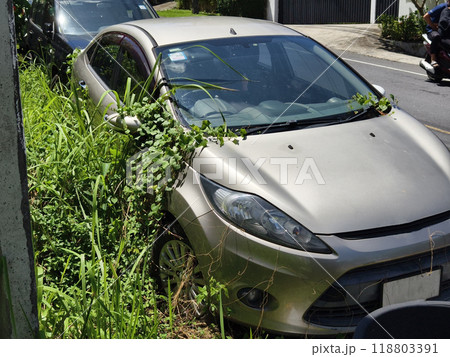 A silver car that has a broken tire and is covered with leaves A silver car that has a broken tire and is covered with leaves 118803391