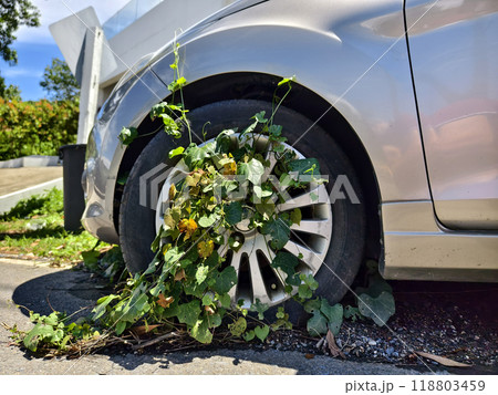 A silver car that has a broken tire and is covered with leaves 118803459