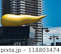 フラムドール 118803474