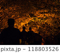 ライトアップされた銀杏 118803526