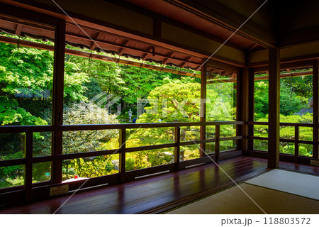新緑が眩しい旧竹林院 118803572