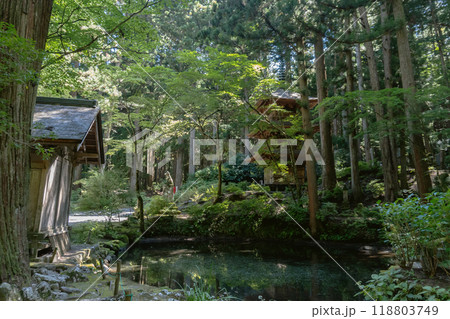 光前寺【国指定名勝】三重塔と早太郎像を背景にした堀／長野県駒ヶ根市 118803749