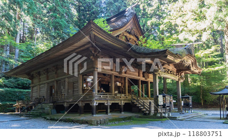 光前寺【国指定名勝】斜めに見る本堂/長野県駒ヶ根市 光前寺【国指定名勝】斜めに見る本堂/長野県駒ヶ根市 118803751