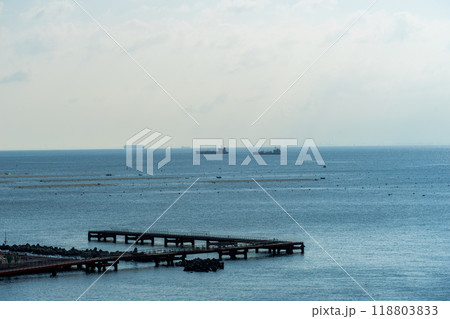 海に突き出た桟橋 118803833