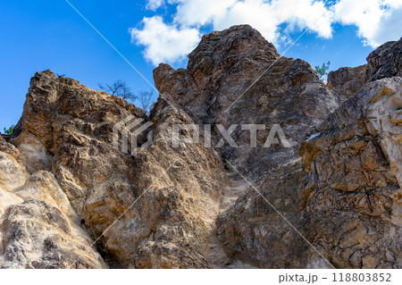 登山道から見た景色 登山道から見た景色 118803852