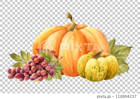 Watercolor pumpkins and grapes with leaves horizontal illustration isolated on white. Ripe fall vegetables and fruits in red, orange and yellow colors for fall harvest designs and Thanksgiving 118804237
