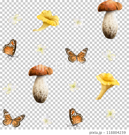 Forest edible mushrooms with orange monarch butterflies and white Hydrangea flowers watercolor seamless pattern. Boletus and golden chanterelles with fall flying insects background in yellow and brown Forest edible mushrooms with orange monarch butterflies and white Hydrangea flowers watercolor seamless pattern. Boletus and golden chanterelles with fall flying insects background in yellow and brown 118804239