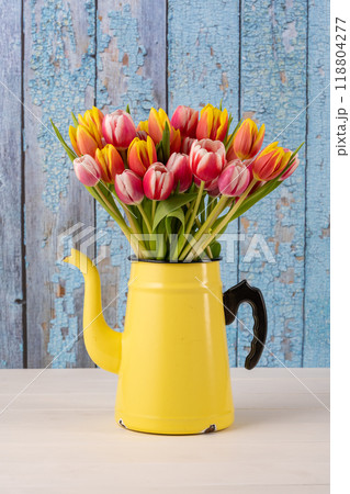 Fresh colorful bouquet of tulips in yellow enamel coffee pot in front of blue old wooden wall Fresh colorful bouquet of tulips in yellow enamel coffee pot in front of blue old wooden wall 118804277