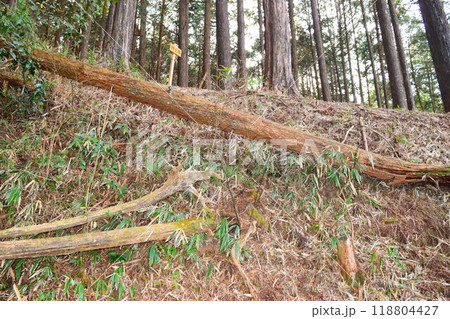 【続日本百名城】古宮城 118804427