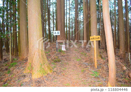 【続日本百名城】古宮城 118804446