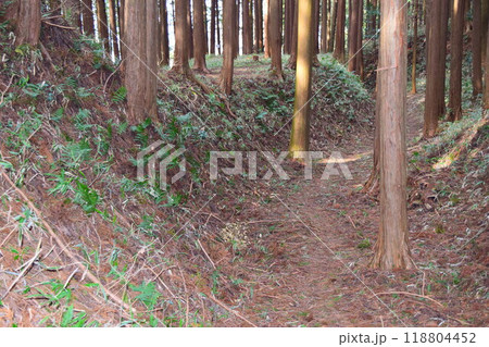 【続日本百名城】古宮城 118804452