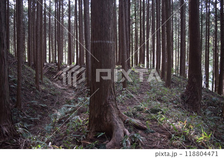 【続日本百名城】古宮城 118804471