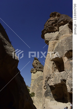 ゼルヴェ野外博物館 ゼルヴェ野外博物館 118804700