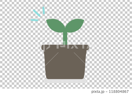 双葉の生えた植物のイラスト 118804867