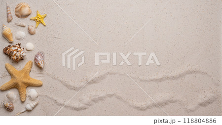 Summer, beach and vacation concept with free text space. Top view. Flat layout with various sea shells and sea stars on the left side on fine sandy background 118804886