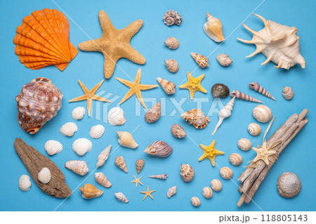 Summer flat lay with seashells on blue background. Vacation, vacation, summer creative concept, copy space, banner Summer flat lay with seashells on blue background. Vacation, vacation, summer creative concept, copy space, banner 118805143