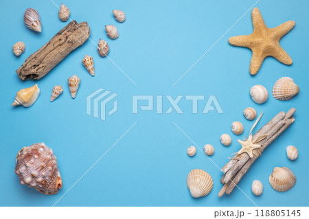 Summer flat lay with seashells on blue background. Vacation, vacation, summer creative concept, copy space, banner 118805145