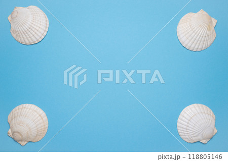Summer flat lay with seashells on blue background. Vacation, vacation, summer creative concept, copy space, banner Summer flat lay with seashells on blue background. Vacation, vacation, summer creative concept, copy space, banner 118805146