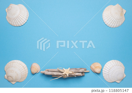 Summer flat lay with seashells on blue background. Vacation, vacation, summer creative concept, copy space, banner Summer flat lay with seashells on blue background. Vacation, vacation, summer creative concept, copy space, banner 118805147