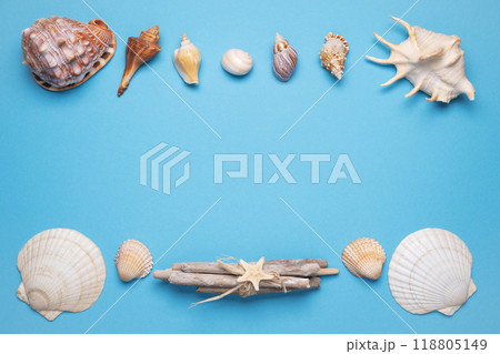 Summer flat lay with seashells on blue background. Vacation, vacation, summer creative concept, copy space, banner Summer flat lay with seashells on blue background. Vacation, vacation, summer creative concept, copy space, banner 118805149