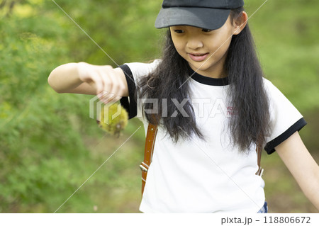 田舎の通学路の森の中を歩く、ランドセルを背負った、下校中の小学生の女の子 田舎の通学路の森の中を歩く、ランドセルを背負った、下校中の小学生の女の子 118806672