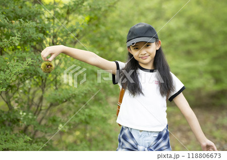田舎の通学路の森の中を歩く、ランドセルを背負った、下校中の小学生の女の子 田舎の通学路の森の中を歩く、ランドセルを背負った、下校中の小学生の女の子 118806673