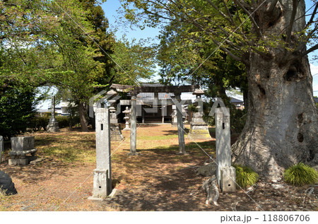 埼玉県本庄市児玉町保木野の御霊稲荷神社 118806706