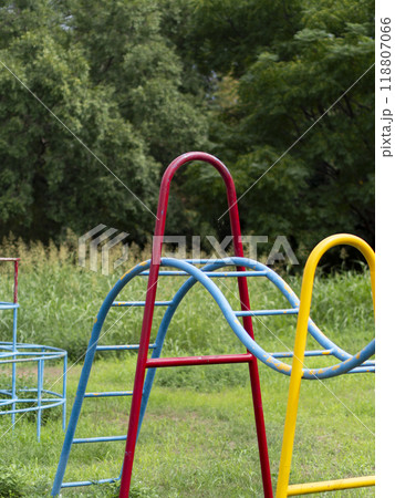 雑草に覆われた公園の古い雲梯 118807066