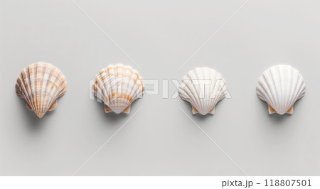 Collection of seashells on a neutral background. High quality photo 118807501