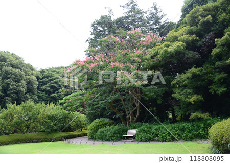 緑豊かな庭園 ☆mar_lapin 緑豊かな庭園 ☆mar_lapin 118808095