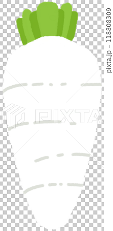 vegetable radish vegetable radish 118808309
