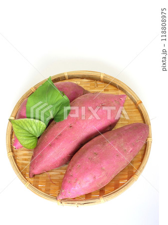 さつま芋(紅はるか・縦構図) さつま芋(紅はるか・縦構図) 118808975