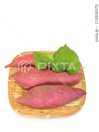 さつま芋（紅はるか・縦構図） 118808979