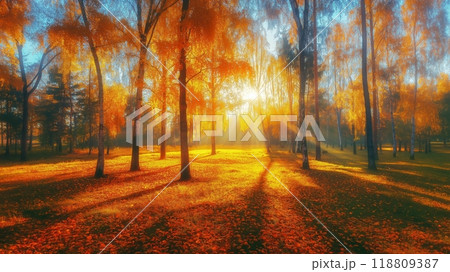 Sunny autumn day in the forest 118809387